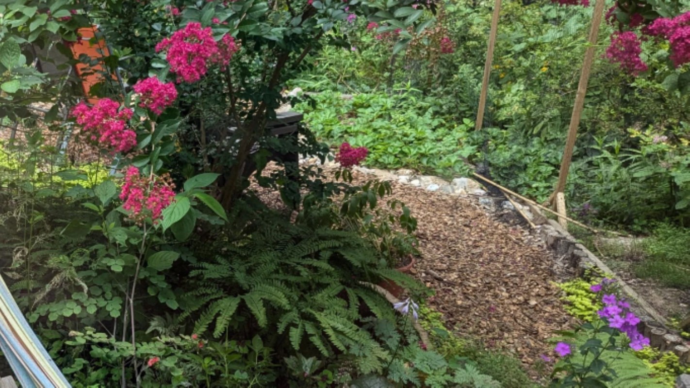 "Enjoy the surprises your garden brings."