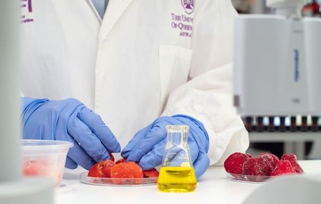The demand for a natural solution is not only due to health-conscious consumers who want to eschew chemicals.