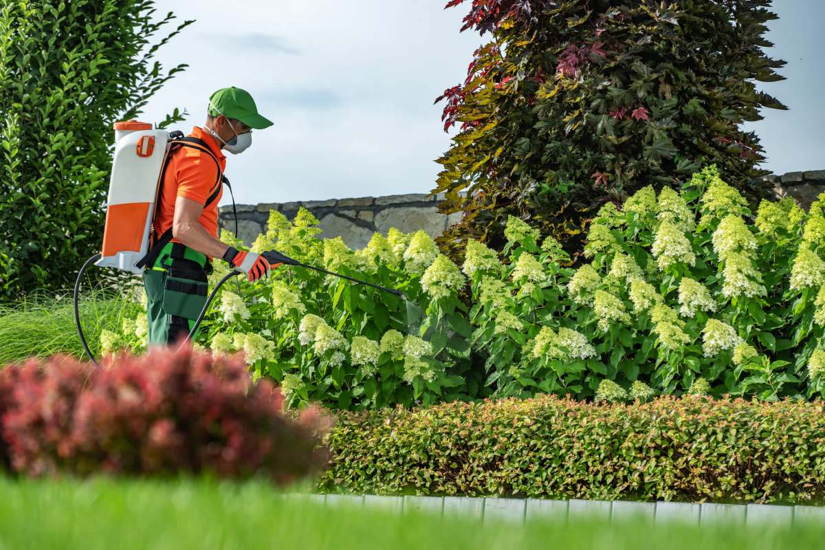 The real problem isn't the mulch itself but how it's used.
