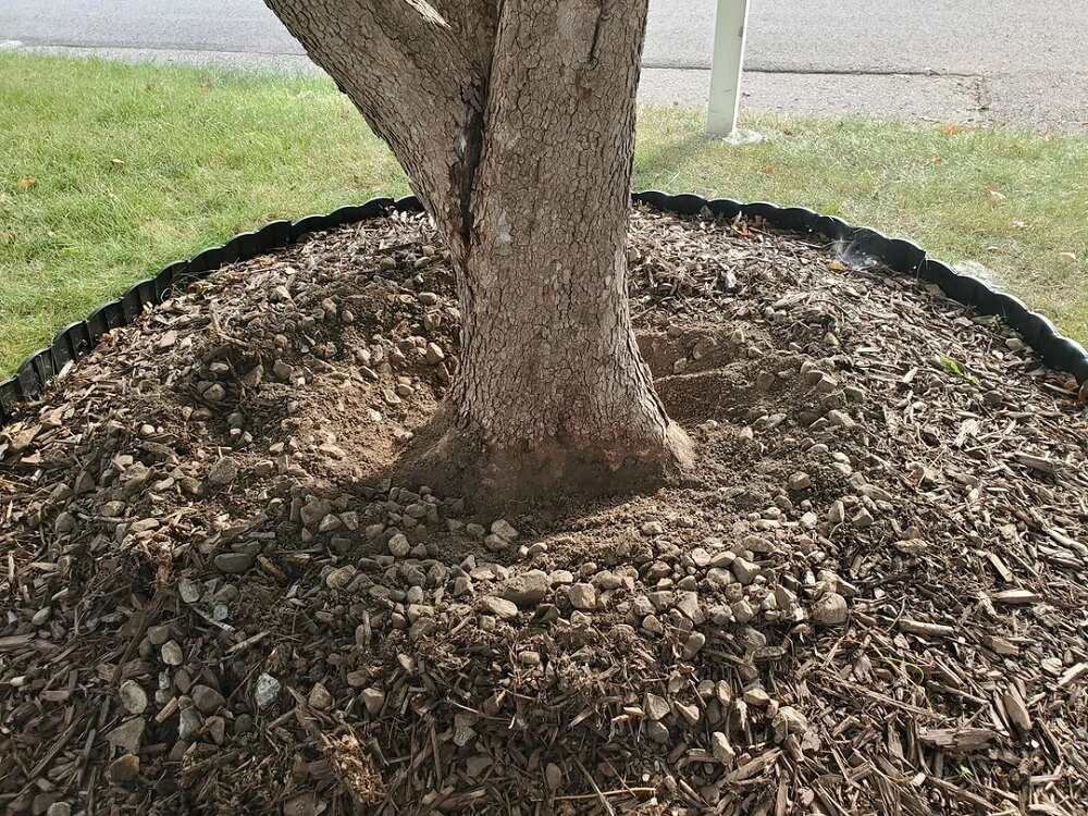 "Your dogwood thanks you!"