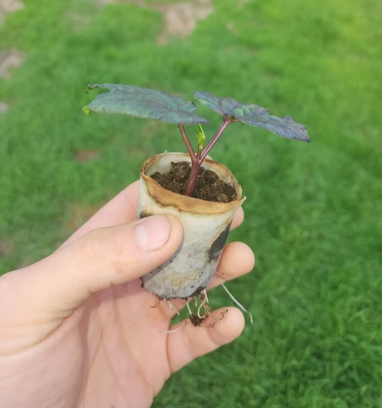 "I have been using this method for years and it works great!"