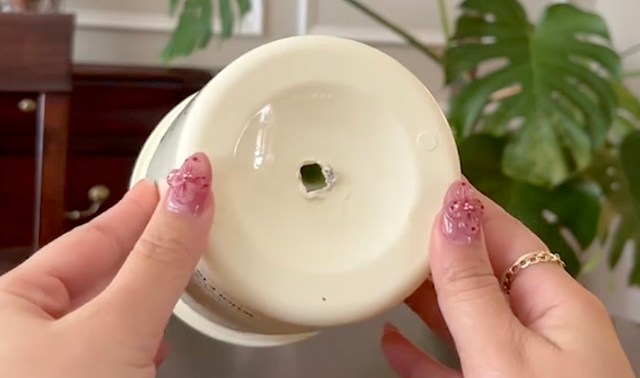 "You can also place these inside cache pots."