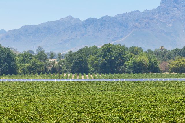 "You will see no power lines in our valley."