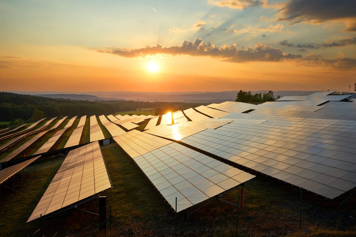 "The solutions needed to decarbonize the economy already exist."