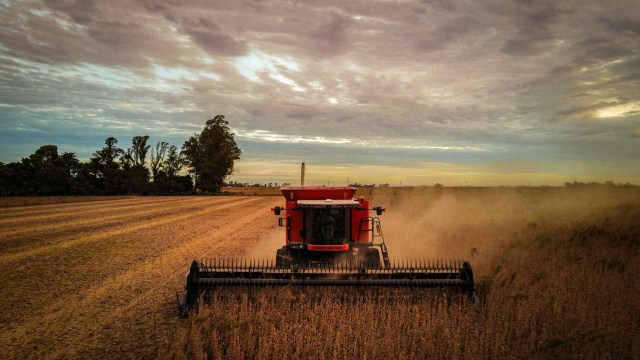 "High temperatures and the prolonged water deficit have caused heat and water stress."