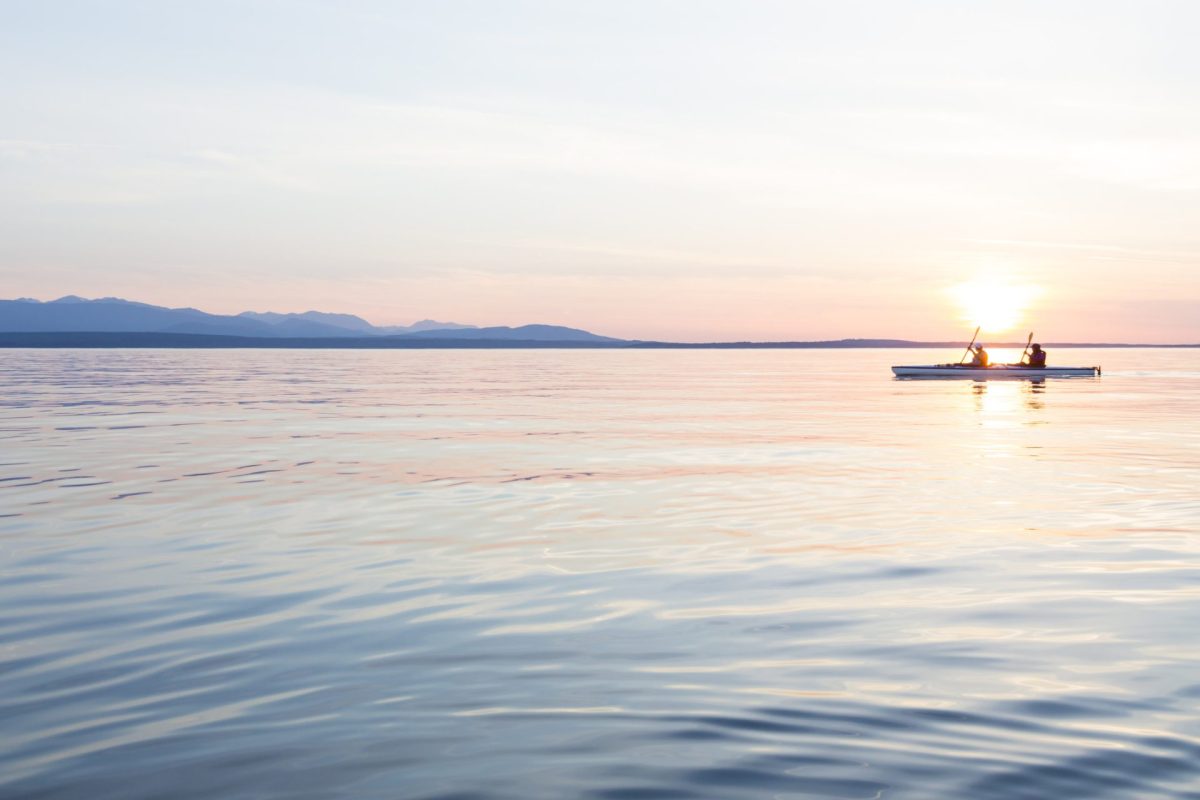 "I'd rather the kayak."
