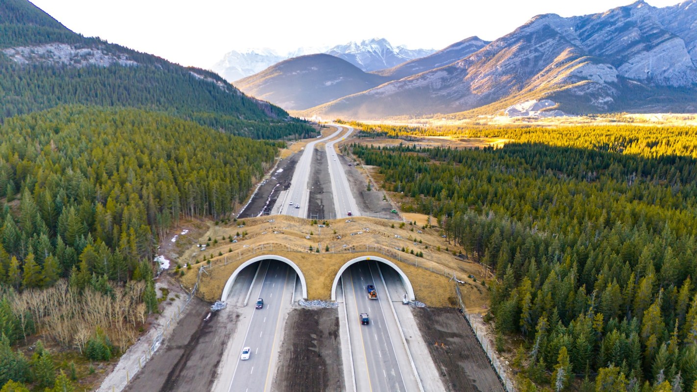 The overpass sits above two arched tunnels that carry four lanes of traffic.
