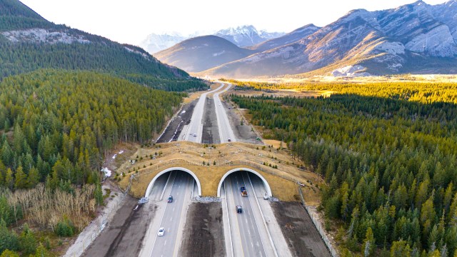 The overpass sits above two arched tunnels that carry four lanes of traffic.