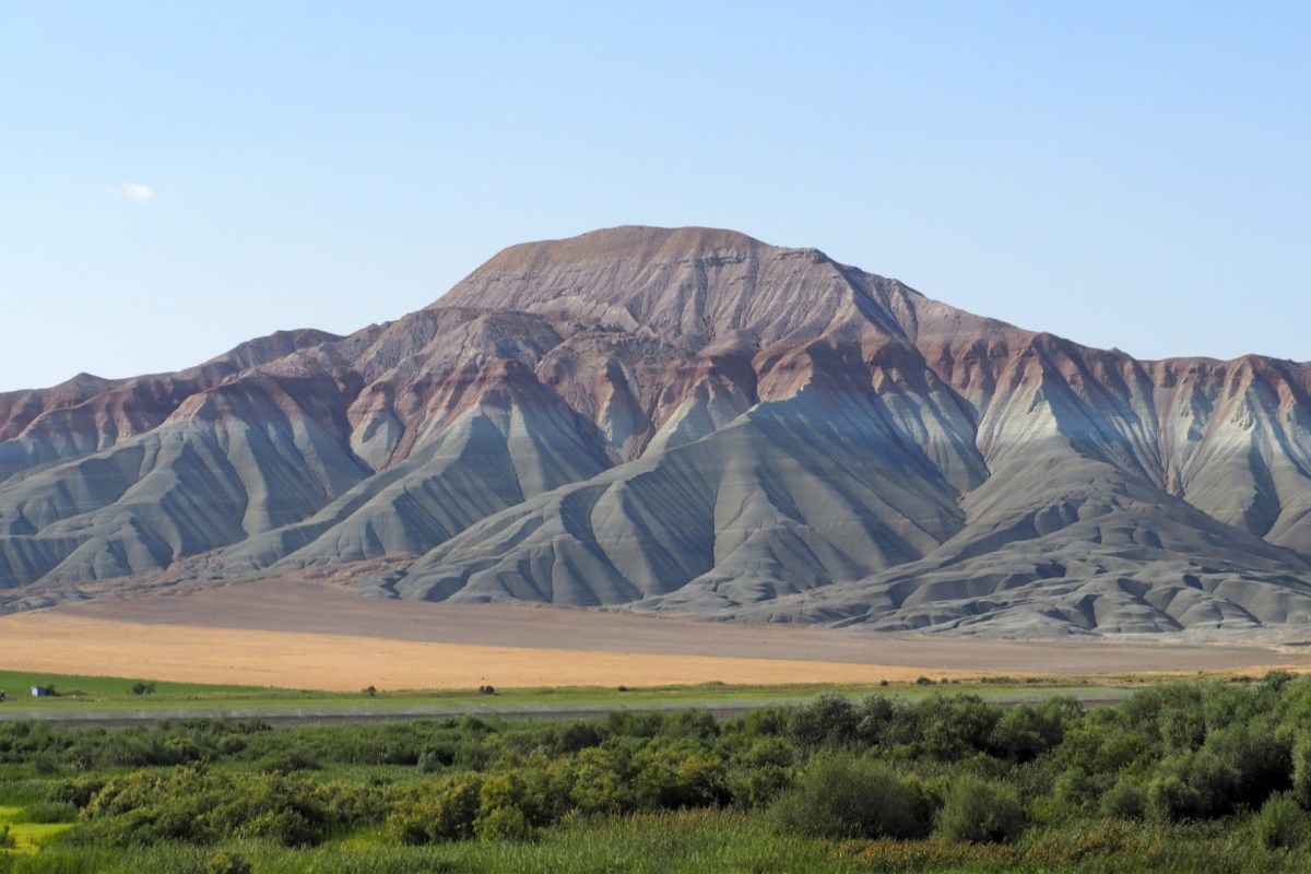 After many years of dedicated conservation work, the species has significantly rebounded.