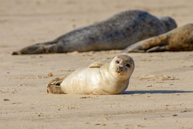 "The reality of working with stranded animals can be tough sometimes."