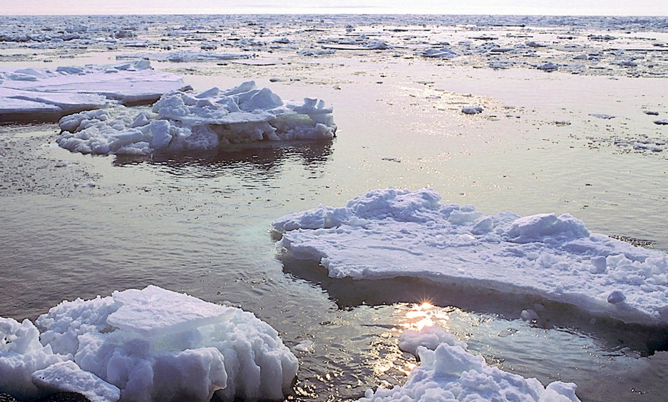 This year, the Arctic ice peak was the lowest it's been in more than 40 years.