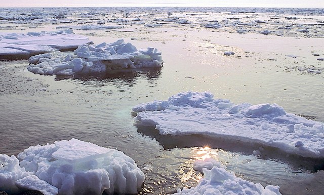 This year, the Arctic ice peak was the lowest it's been in more than 40 years.