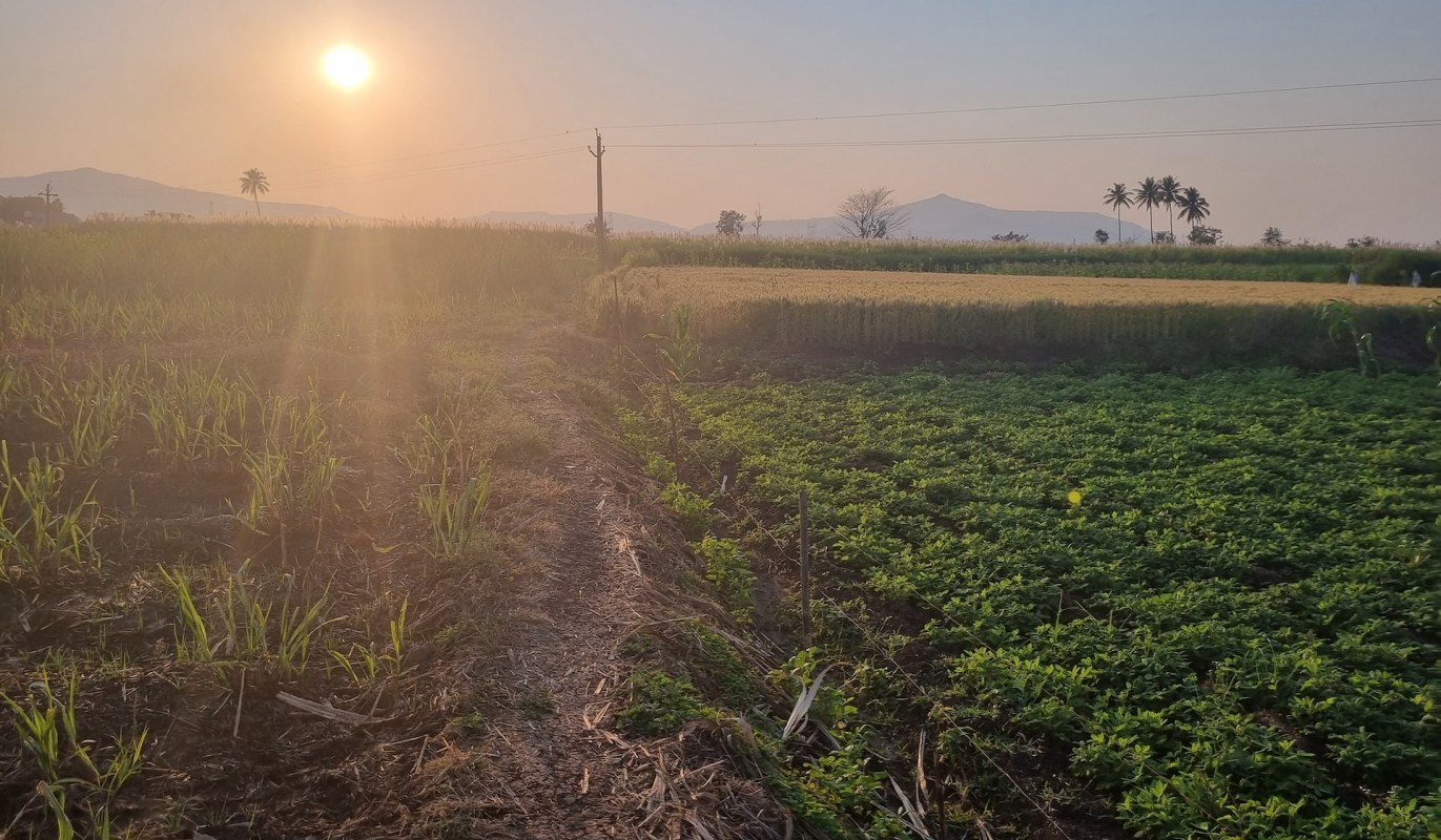 India’s heatwaves have grown significantly in frequency and intensity in recent years.