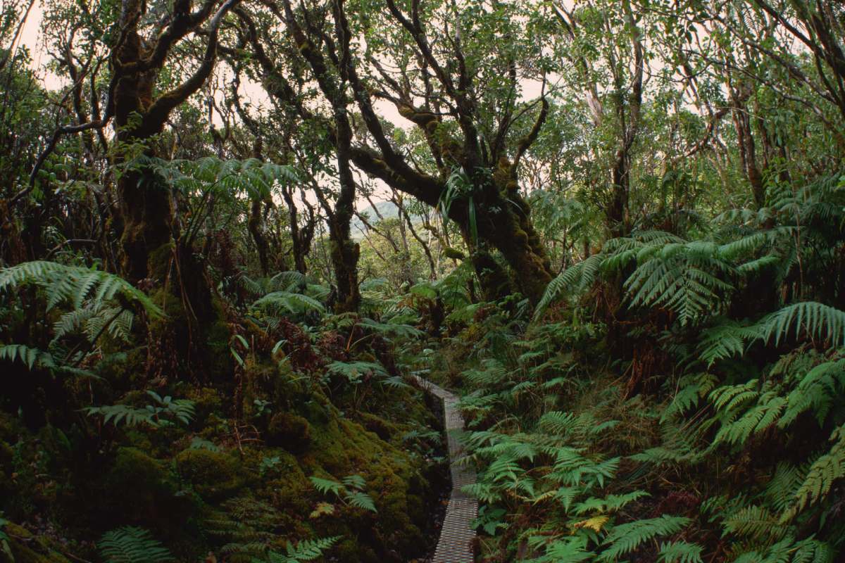 "Every tree matters."