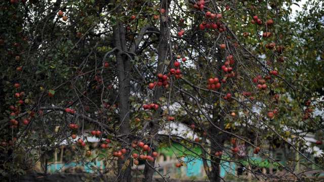 "Horticulture is the backbone of our economy."