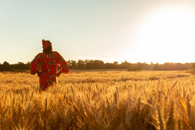 "We produce enough food ... but we waste almost half of it before it reaches the market."