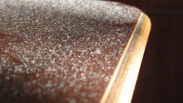 "It would be natural to wonder how important dust exposure may be."