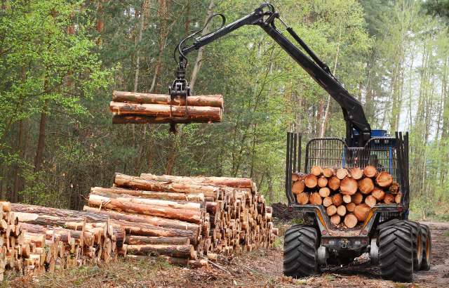 The National Forest Reserve Act of 1964 was established to preserve Thailand’s reserved forests.
