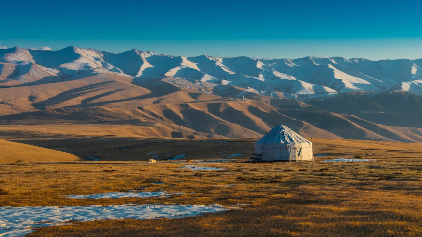Conservation efforts are essential to the health of our environment and planet.
