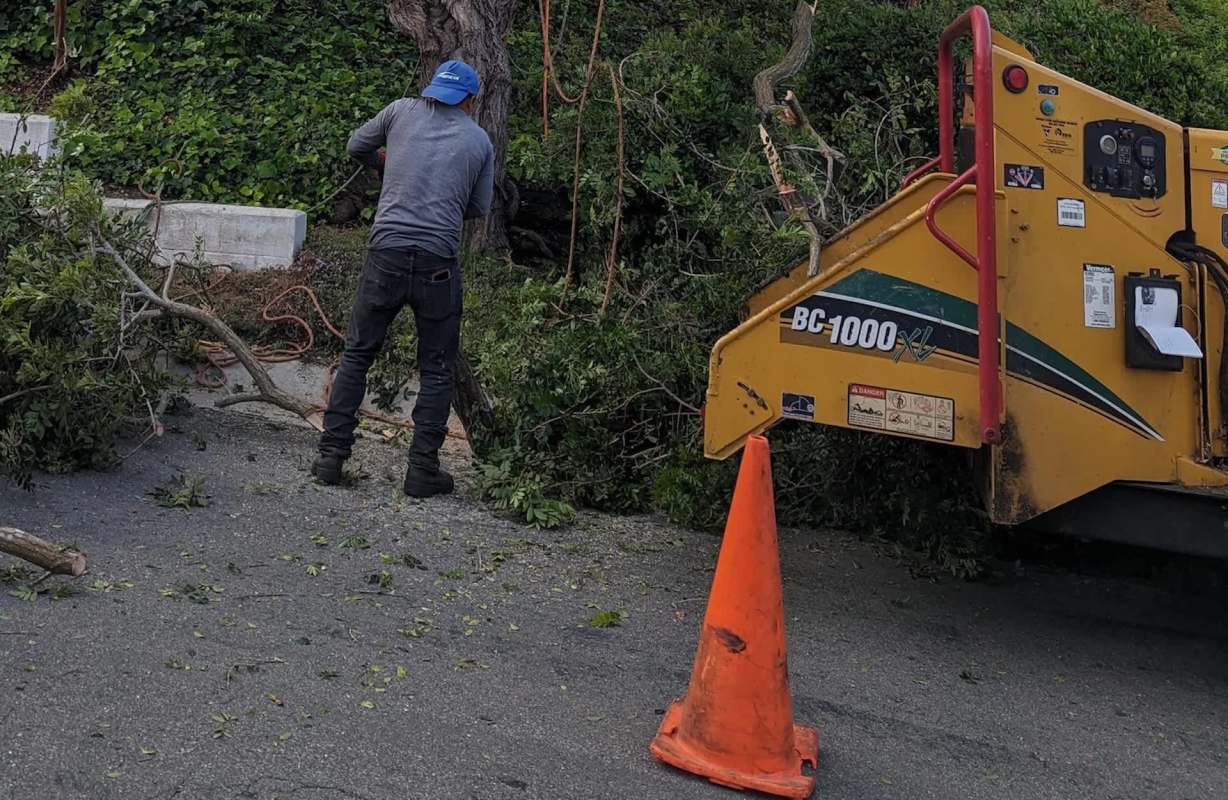 "We lost our curb appeal."