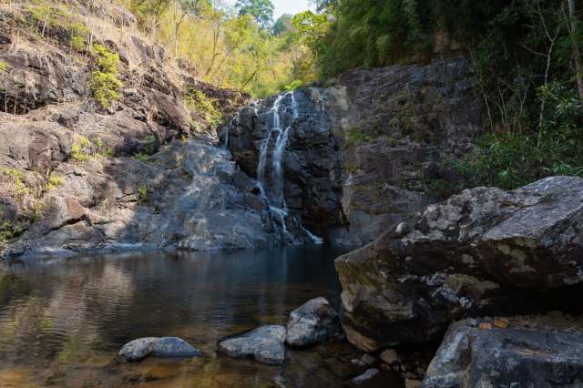 "It is not every day in conservation that you can say you are achieving and seeing tangible results."