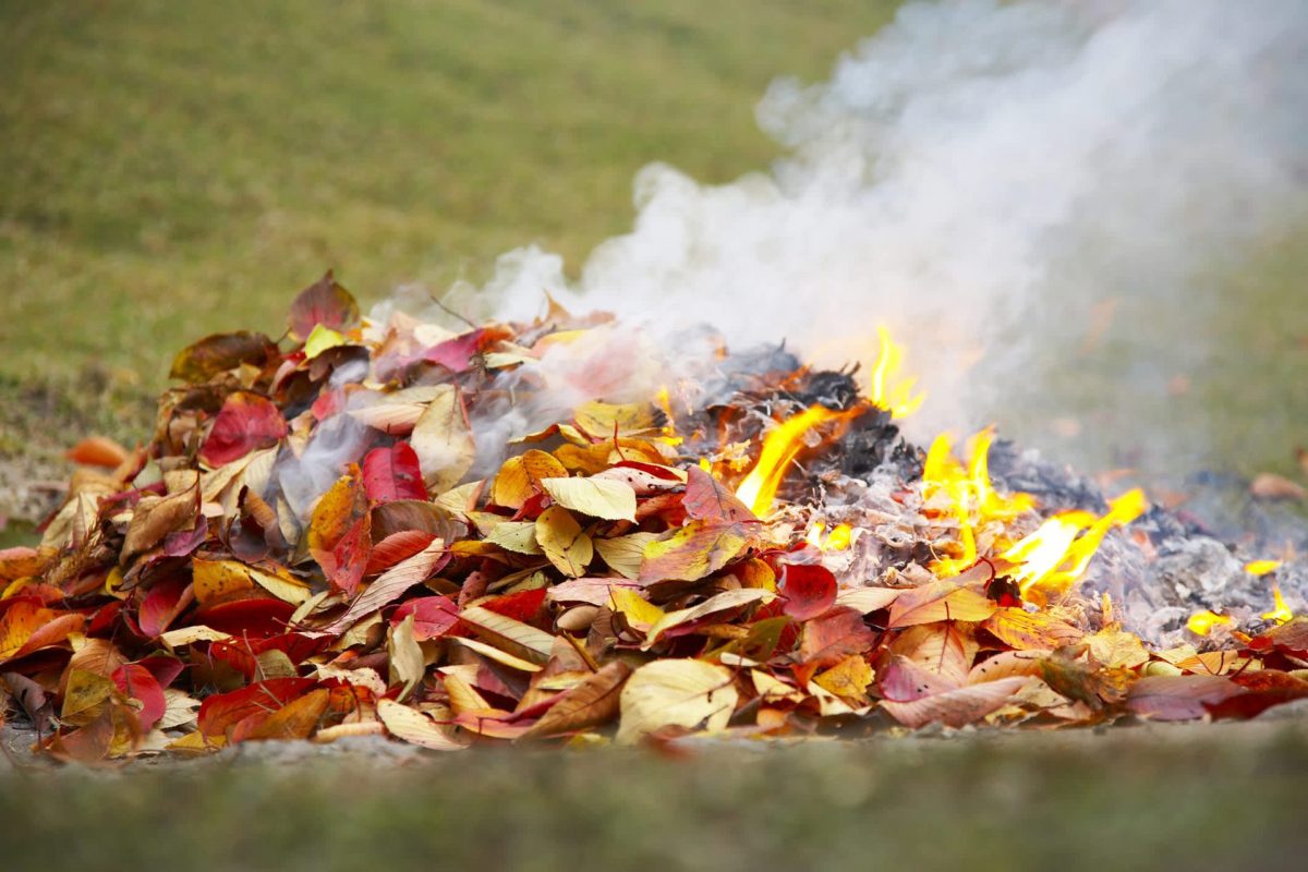 Bingham was caught making an outdoor fire not once but twice.