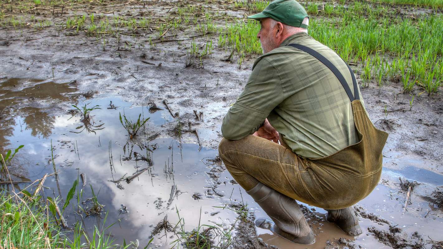 "The hail would've been a big problem."