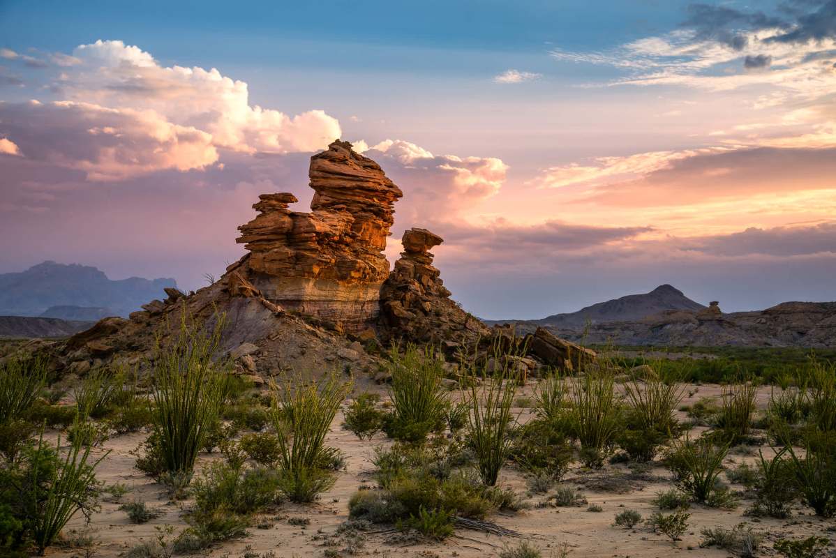 "I’m excited to discover whether there are other populations in the park."