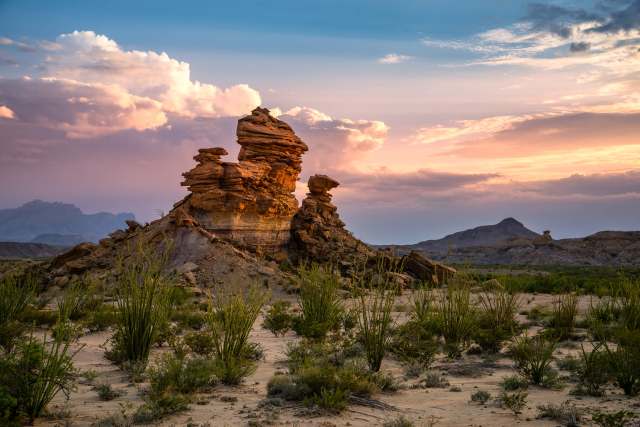 "I’m excited to discover whether there are other populations in the park."