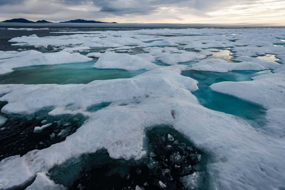 "Important ecological consequences."
