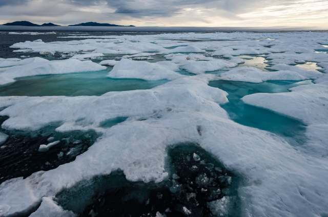 "Important ecological consequences."