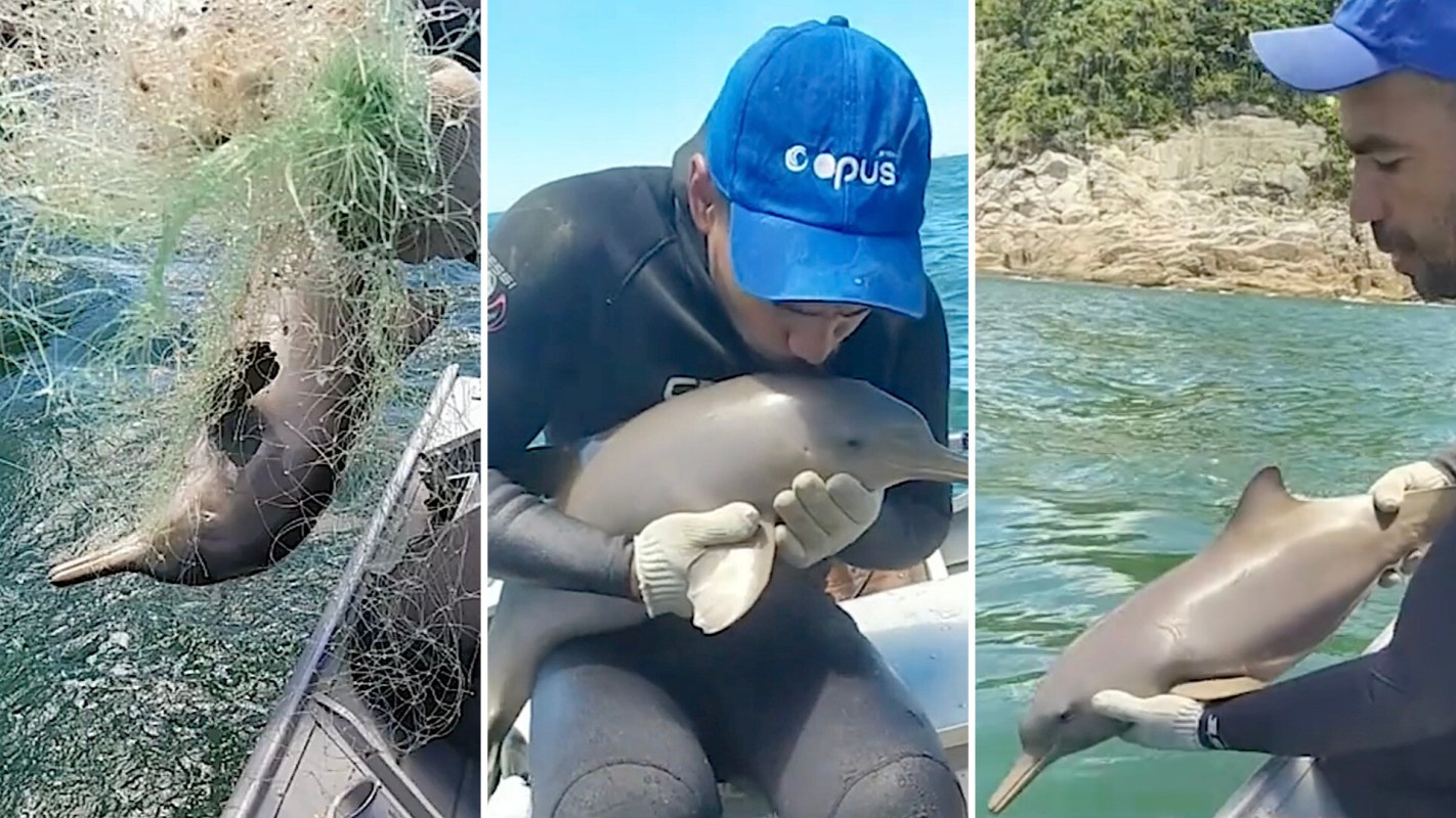 "It’s people like this who make a big difference for our ocean community!"