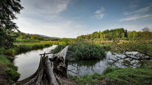 "The places where they build dams are always chosen just right."