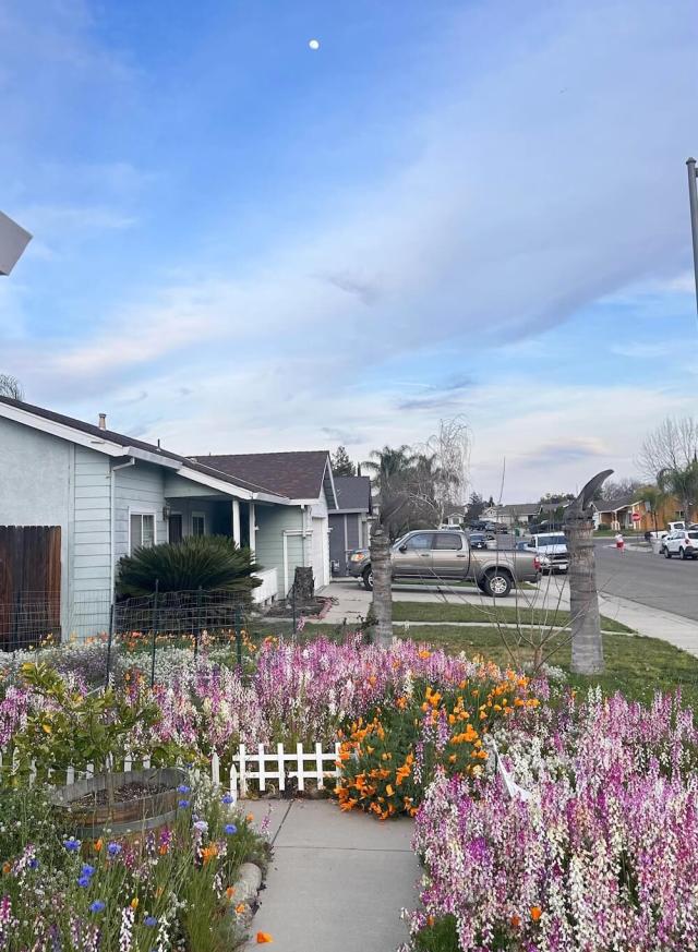 "Prettiest yard in the neighborhood."