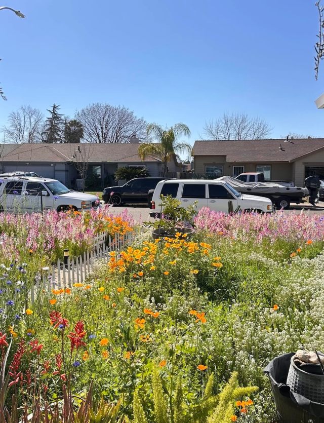 "Prettiest yard in the neighborhood."