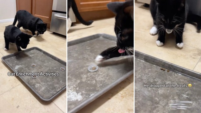 "He was into it."