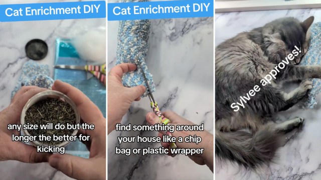 "This is such a great idea."