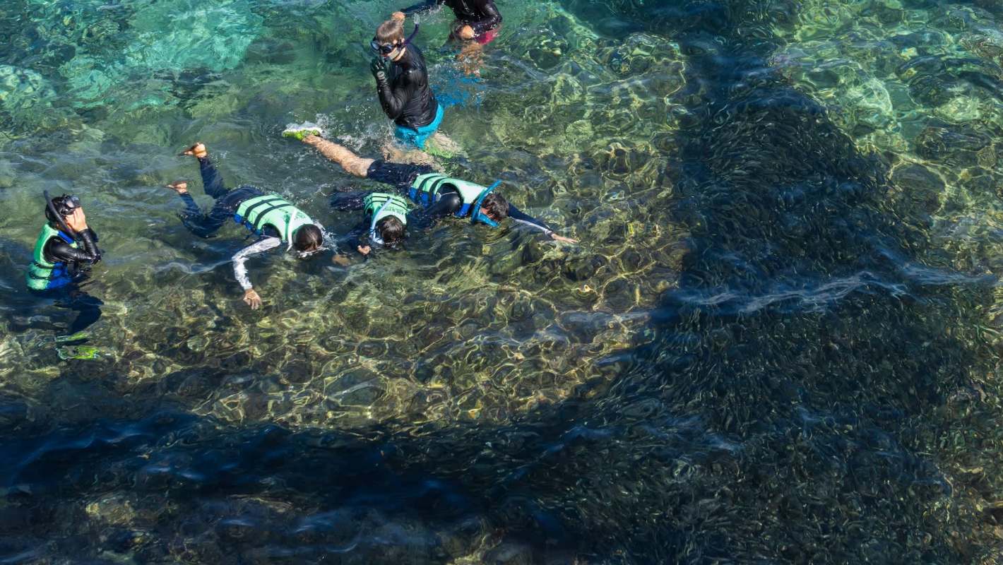 "The ocean connects us all. Protecting it is our shared responsibility."