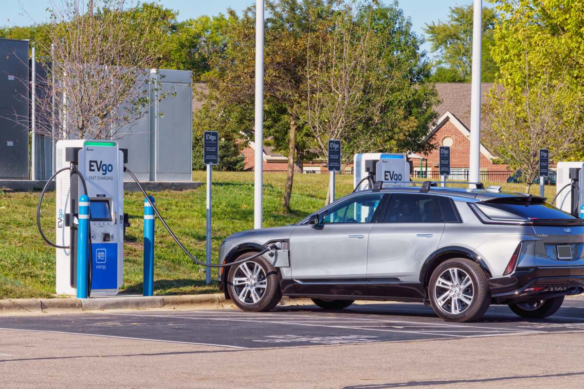 We are still in the early stages of EV adoption.