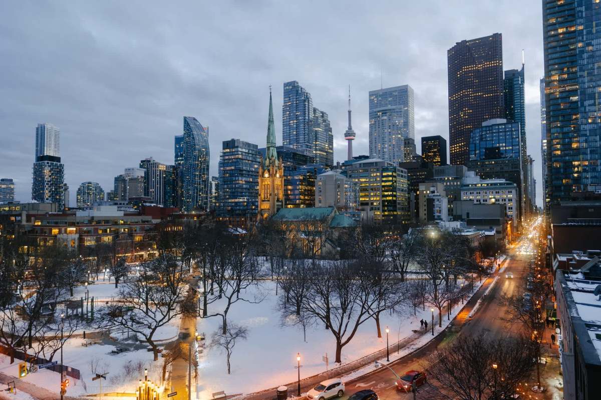 "Toronto downtown coyotes are the real steppers in these streets."