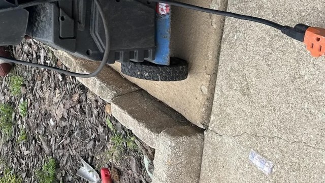 "Incredible find!"