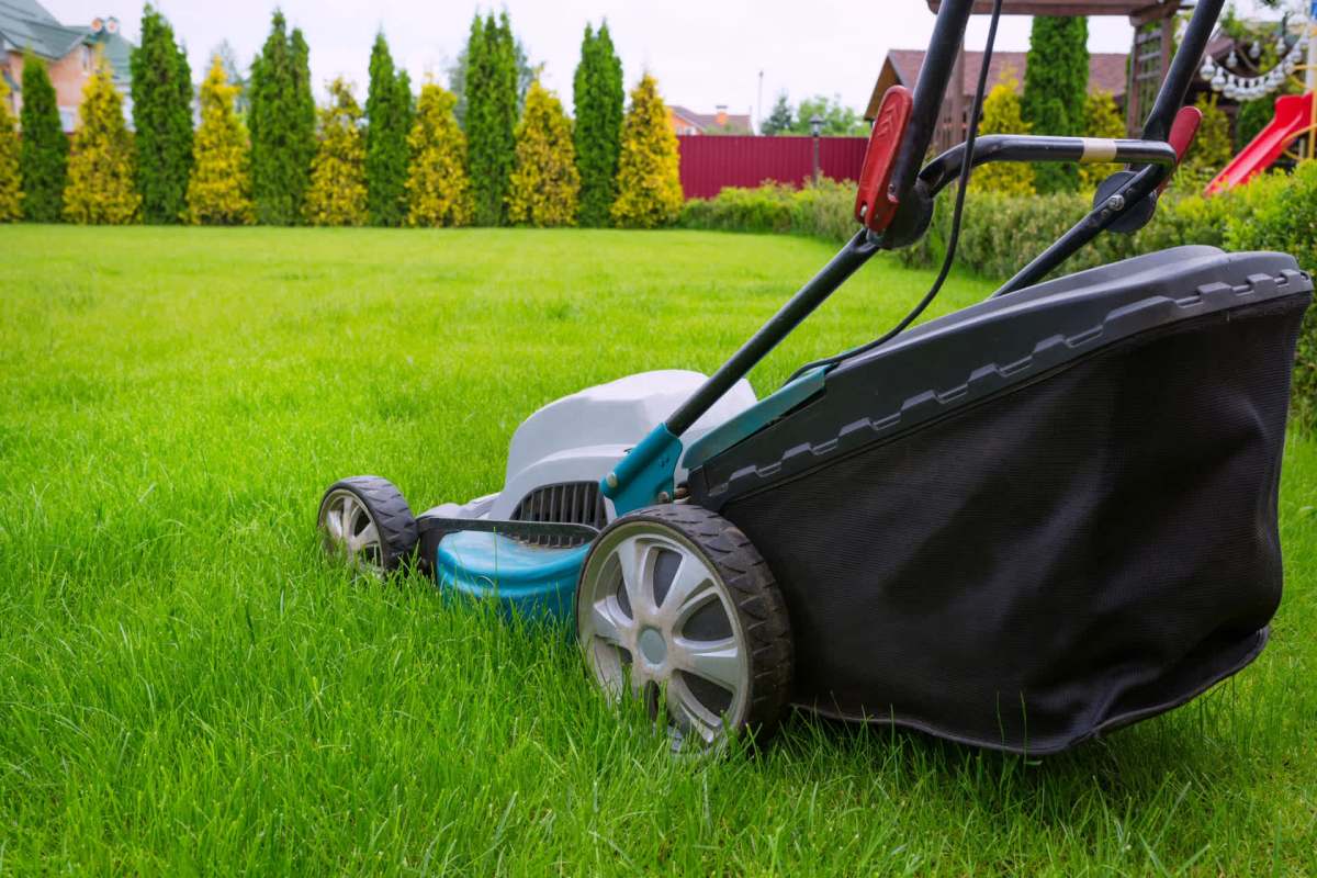 Electric mowers can save you money and make your lawn-care experience more enjoyable.