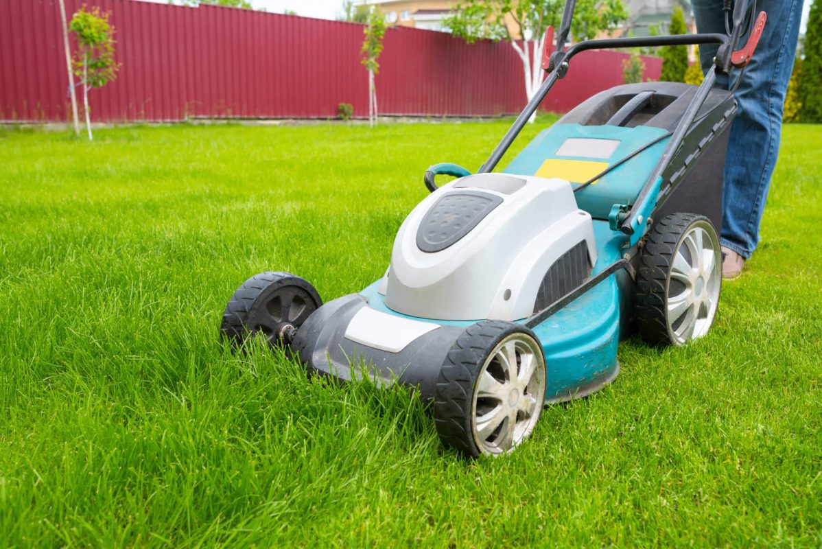 "I could've done my neighbor's yard as well."