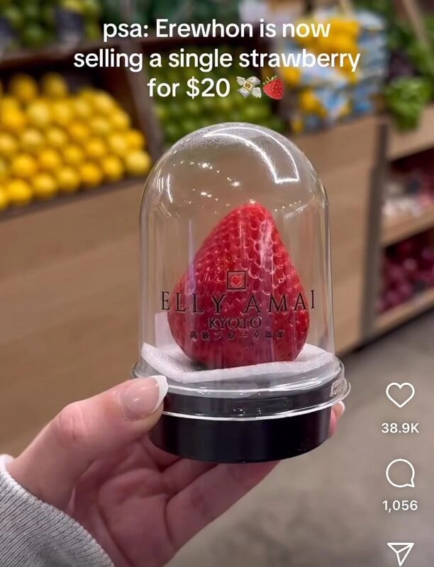This ultra-premium single fruit offering highlights broader resource allocation and waste concerns.