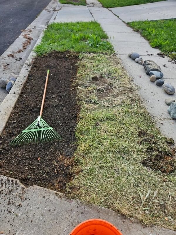 "Everyone should turn that strip of grass near their homes into a wildflower garden!"