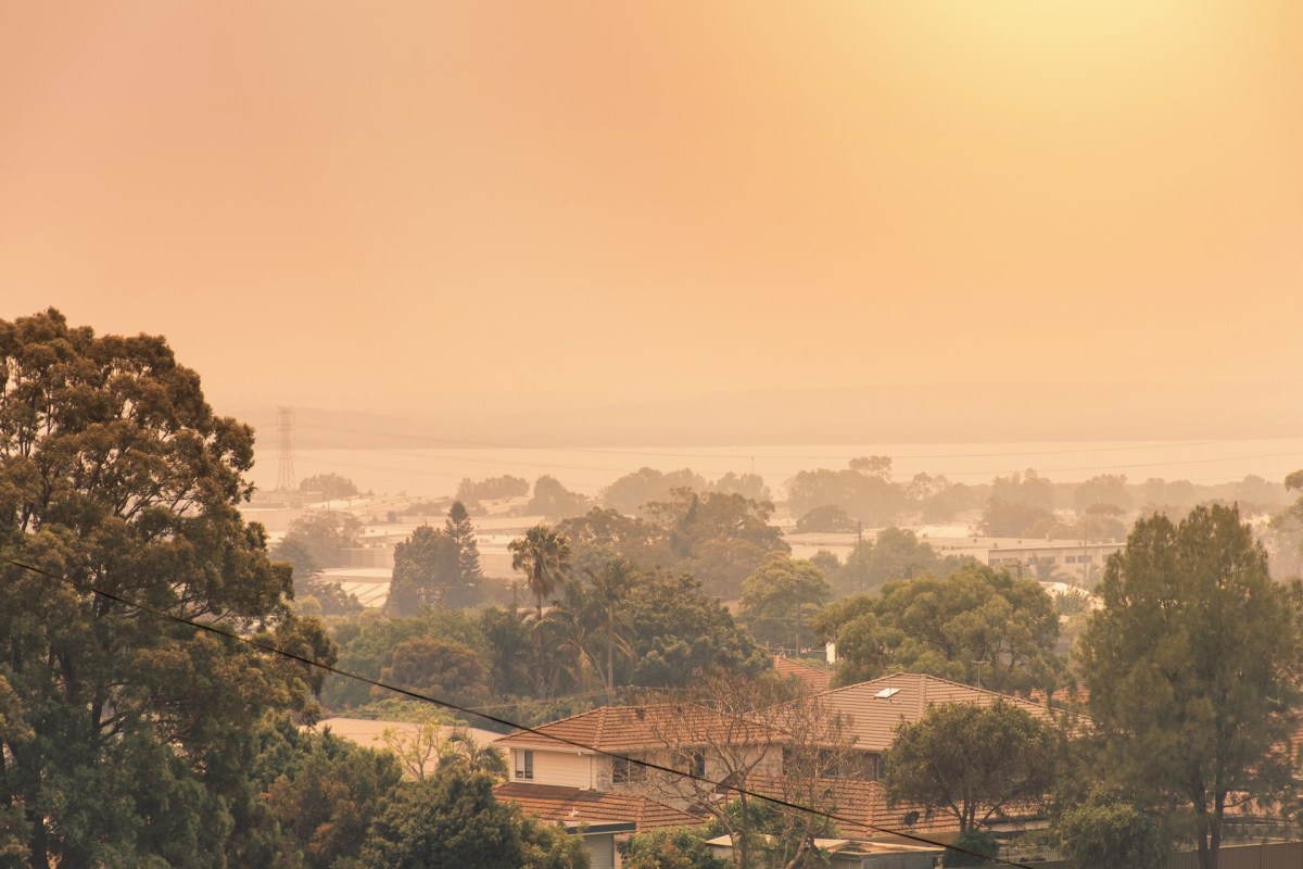 Heatwave mortality rates have increased by 20% in Australia.