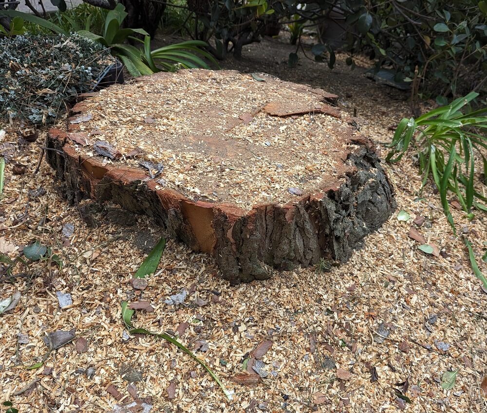 "We lost our curb appeal."