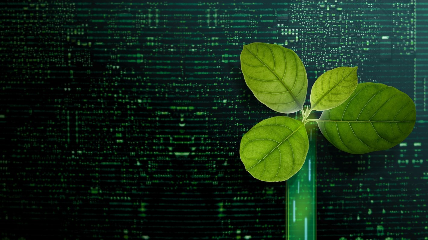 Understanding the environmental impacts of bitcoin mining is critical.