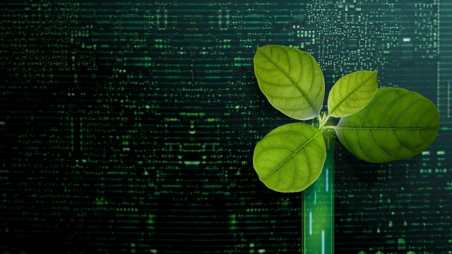 Understanding the environmental impacts of bitcoin mining is critical.