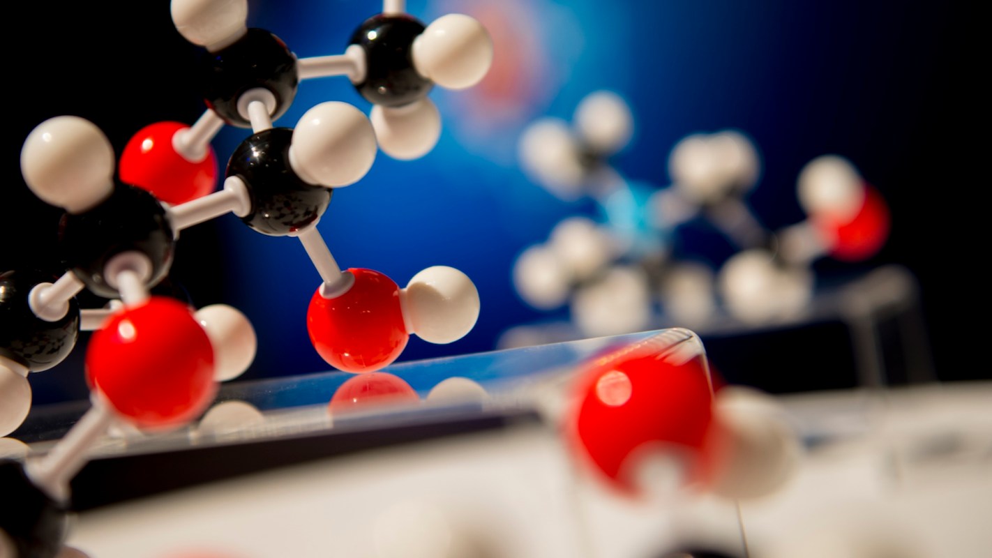 "Our study challenges [a] long-held idea."